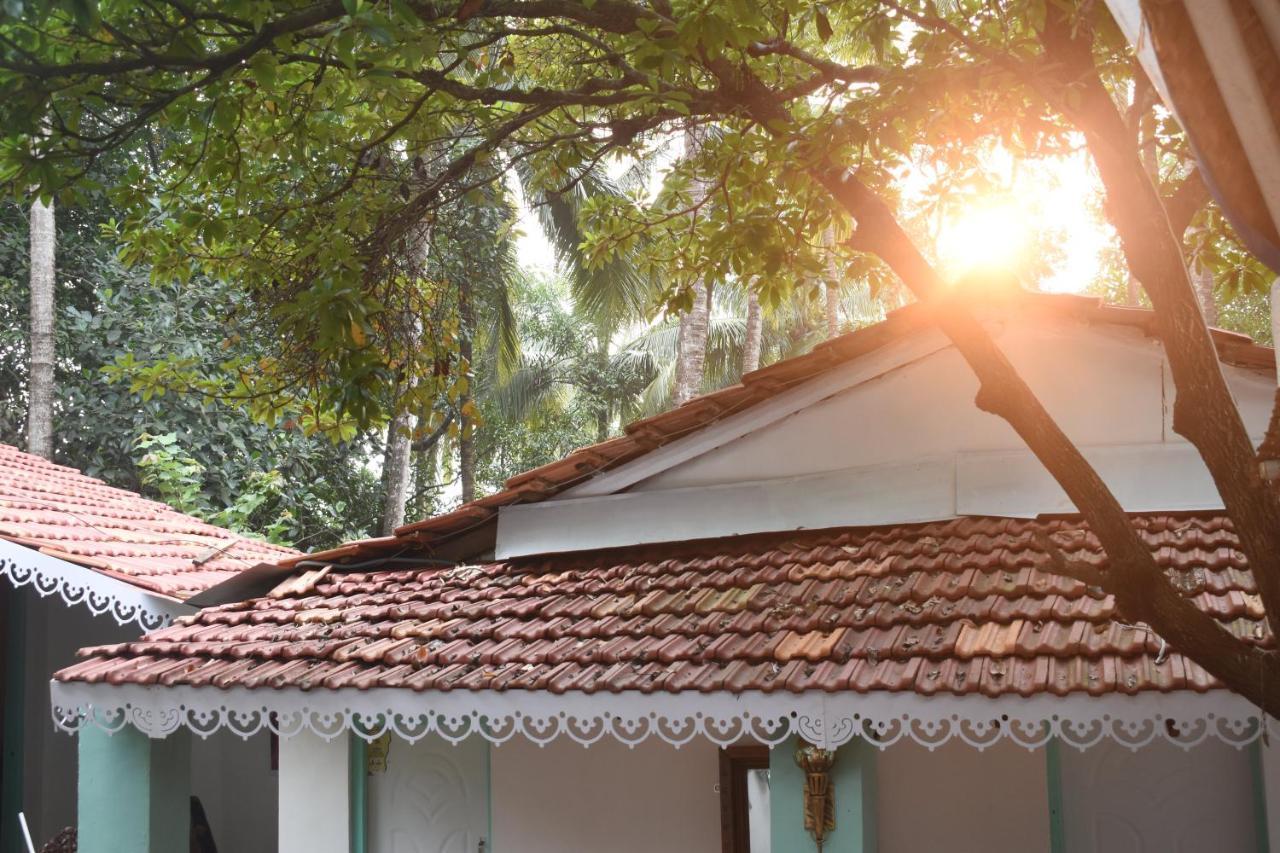 Casa Happy Dervish, 2Mins Away From The Beach Анжуна Екстер'єр фото